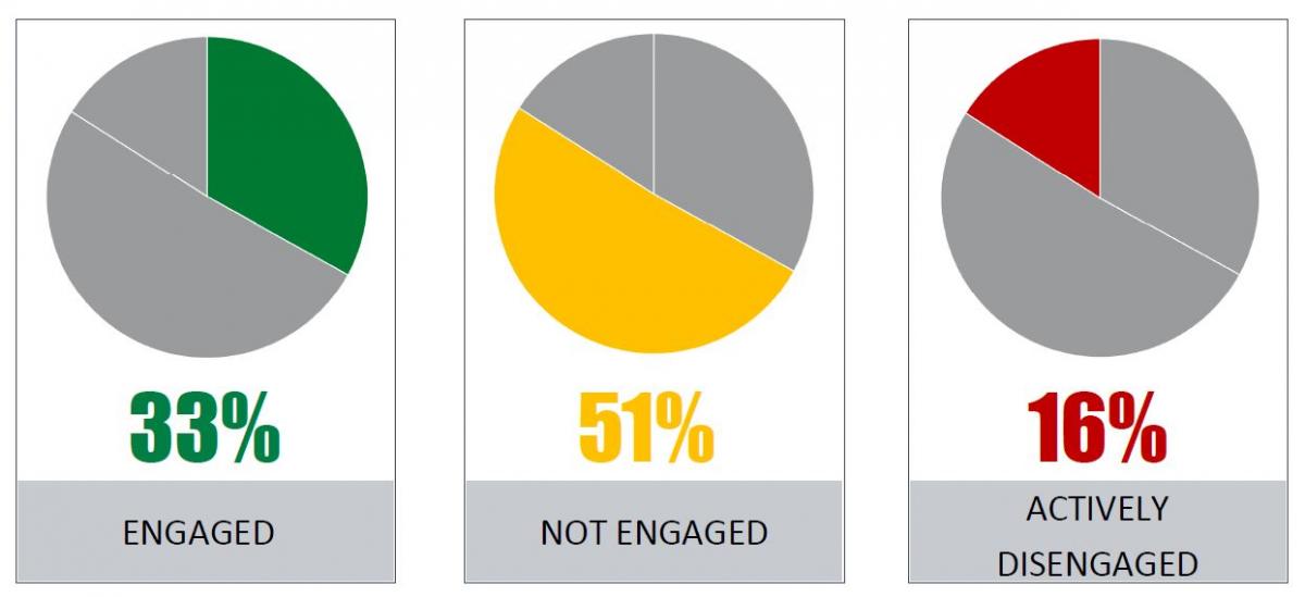 Gallup Engagement UNT System Human Resources